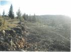 El değmemiş Durmitor doğasının ortasında 19720 m av çiftliği için özel dağ arazisi