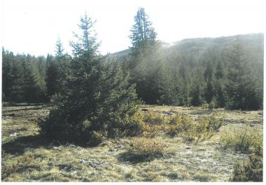 El değmemiş Durmitor doğasının ortasında 19720 m av çiftliği için özel dağ arazisi