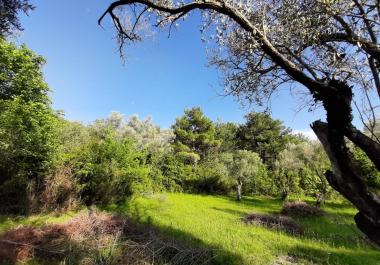 Tivat ve Kotora yakın 1350 m3 arsa satılık